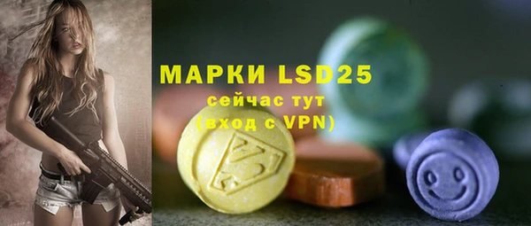 шишки Кострома